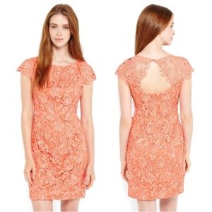 VINCE CAMUTO Coral Lace Shift Dress (Sz 2)